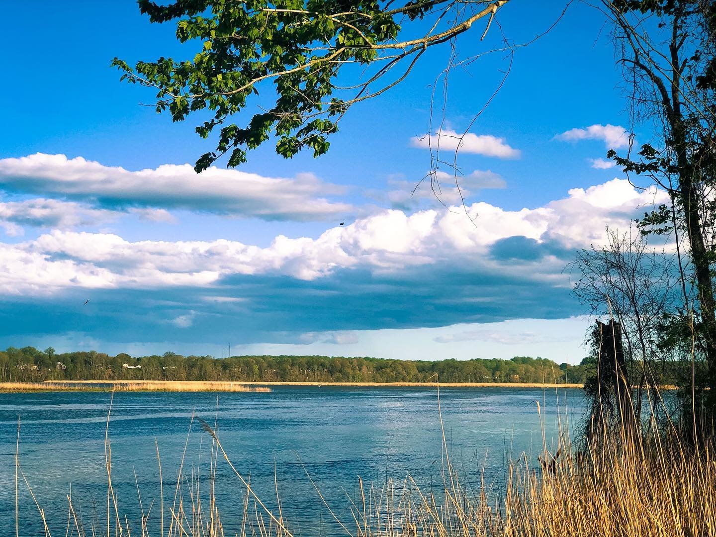 Patuxent River