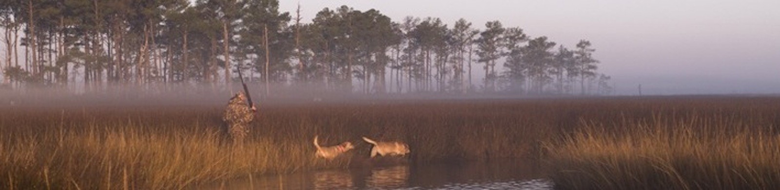 Two men and a dog in the mist around a lake