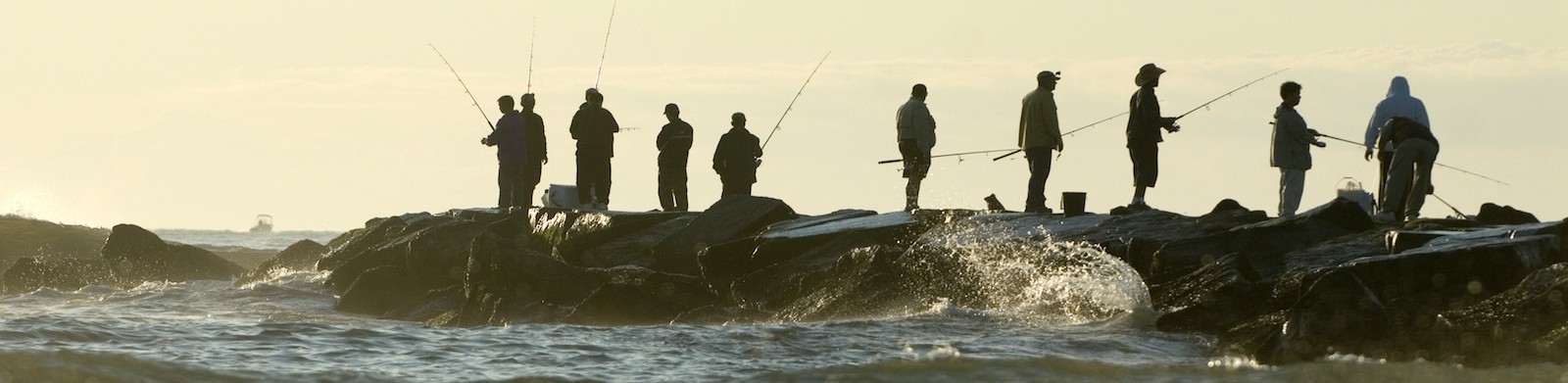 People fishing off shore
