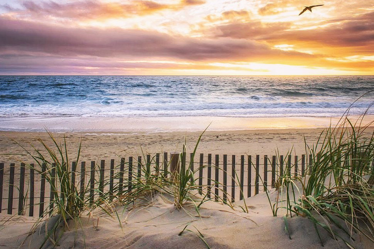 Ocean City Beach and Dunes