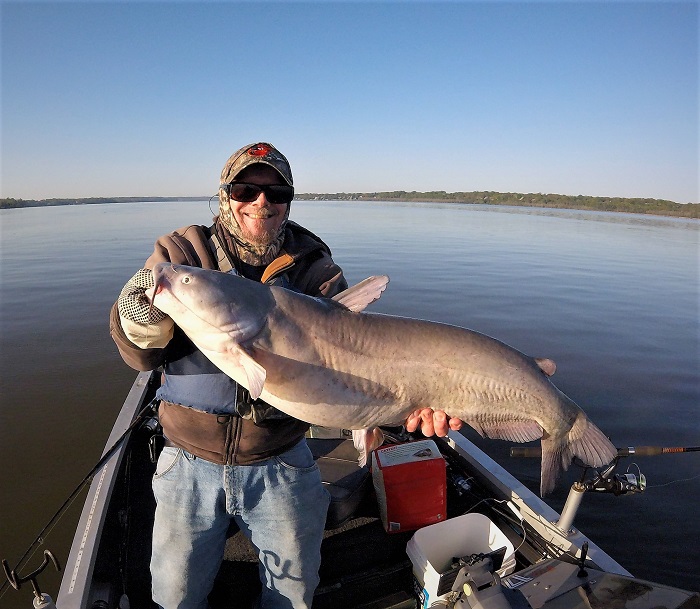 Blue Catfish