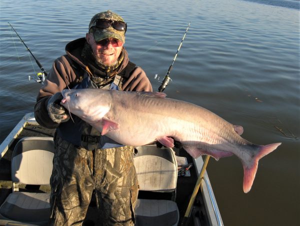 Fisherman holding a large blue catfish