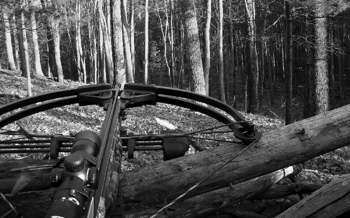 Crossbows