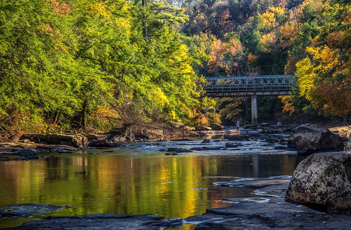 Fly Fishing