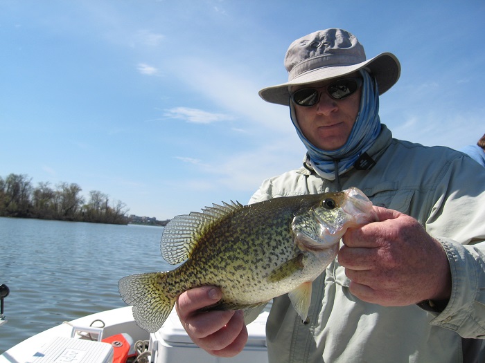 Tidal Crappies