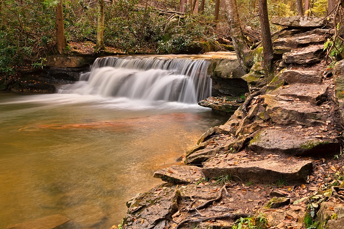 Small waterfall in the woods