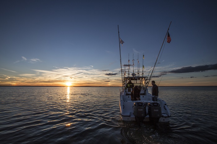 Rcokfish Charters