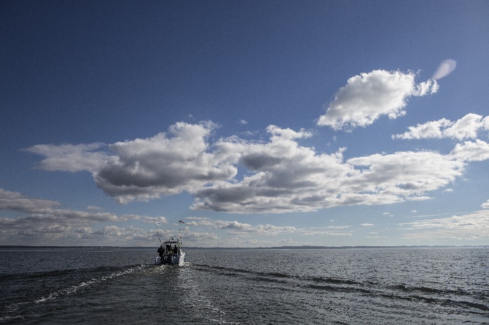 Rcokfish Charters