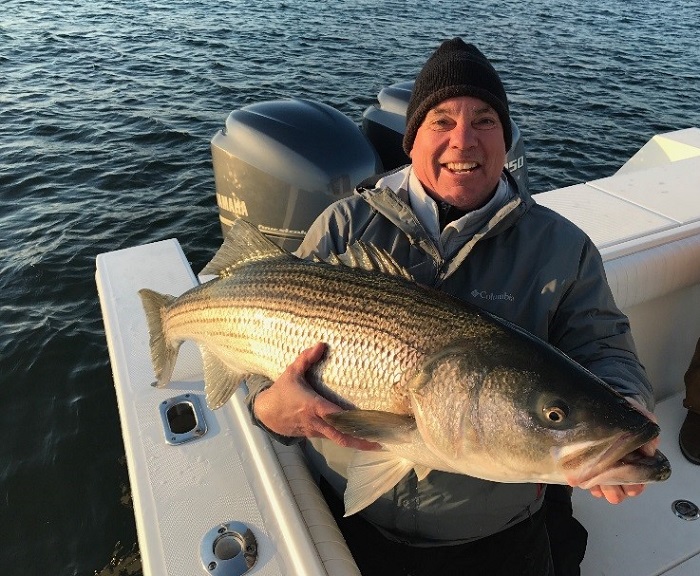 Rockfish Season