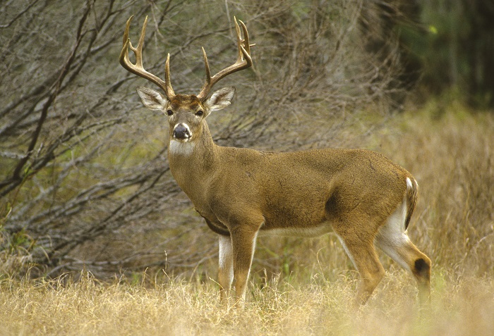 Southern Maryland