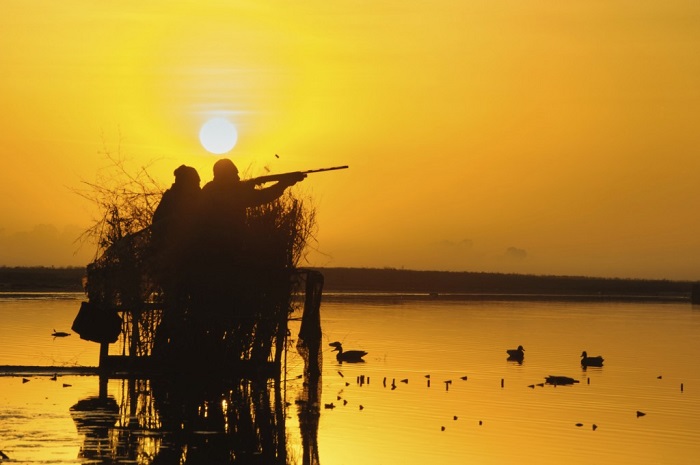 Two ducks hunters during sunset