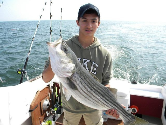 Fisherman holding a large striped bass