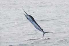 Hunting and Fishing in Maryland