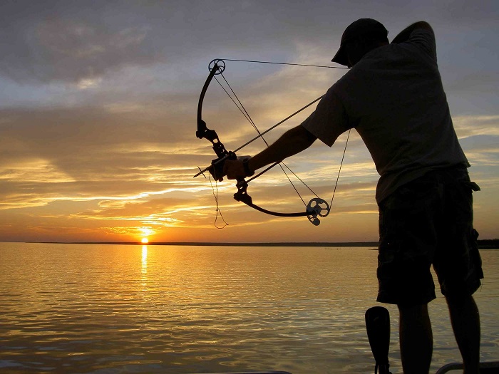 Sport Fish