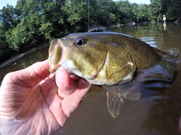 Discovering Maryland's Small Streams