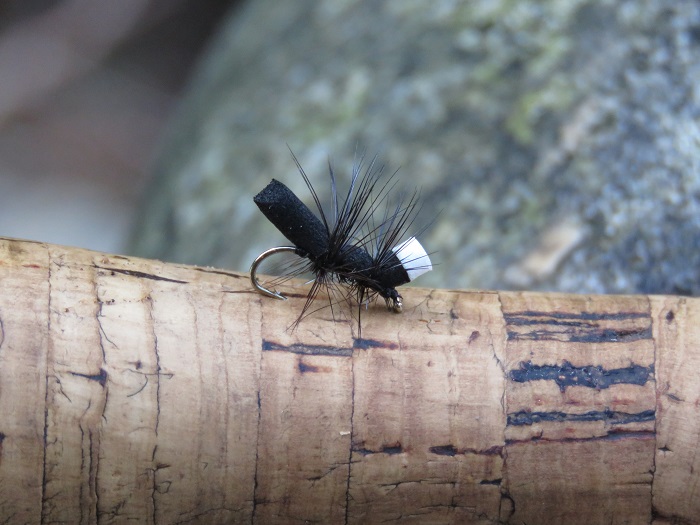 Fly Fishing