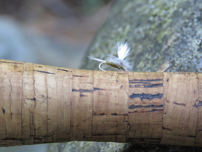 Fly Fishing