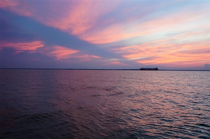 Marylander