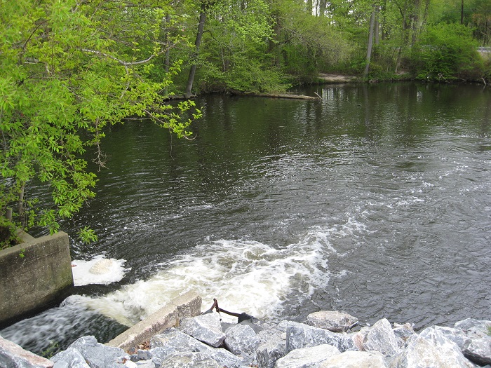 Mill Ponds