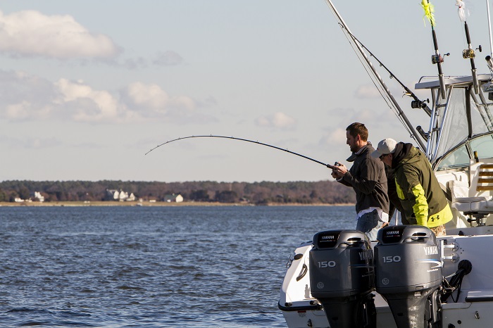 Rcokfish Charters