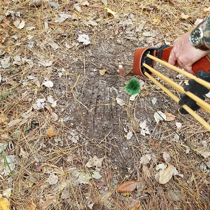 Bow Hunting