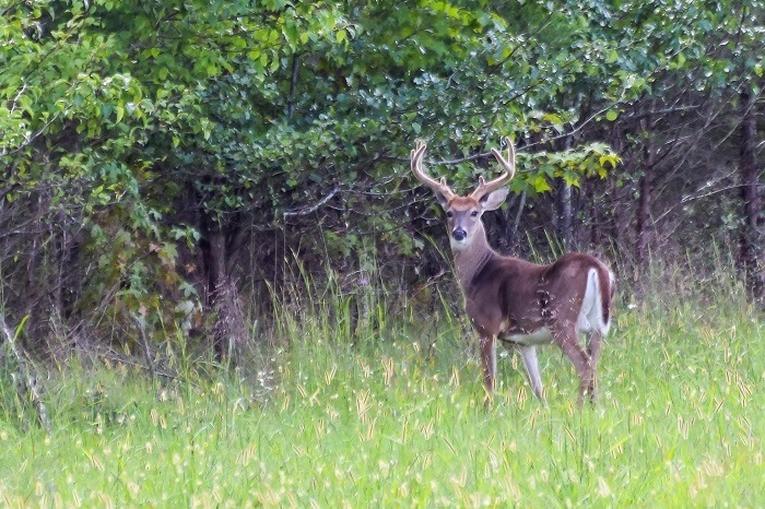 Central Maryland