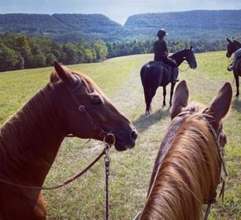 Horse Riders Photo